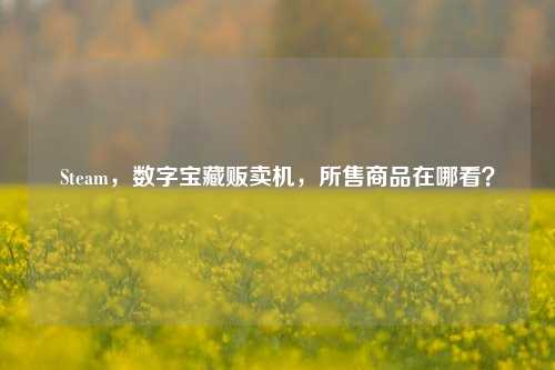 Steam,数字宝藏贩卖机,所售商品在哪看?