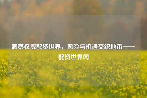 洞察权威配资世界，风险与机遇交织地带——配资世界网