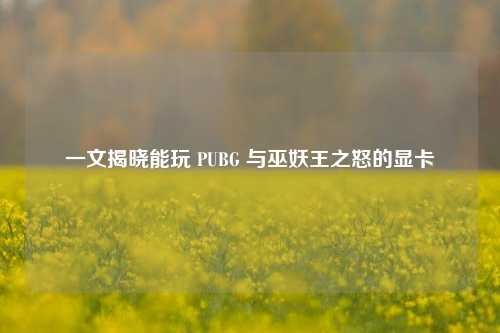 一文揭晓能玩 PUBG 与巫妖王之怒的显卡