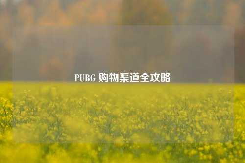 PUBG 购物渠道全攻略