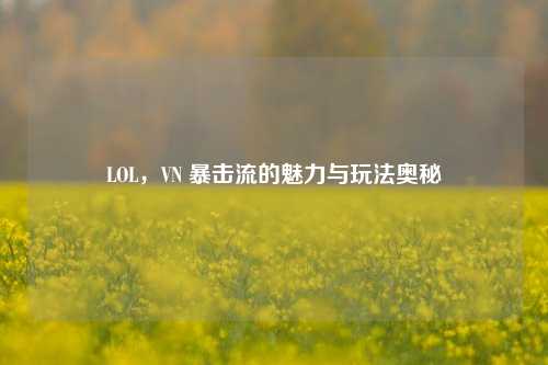 LOL,VN 暴击流的魅力与玩法奥秘