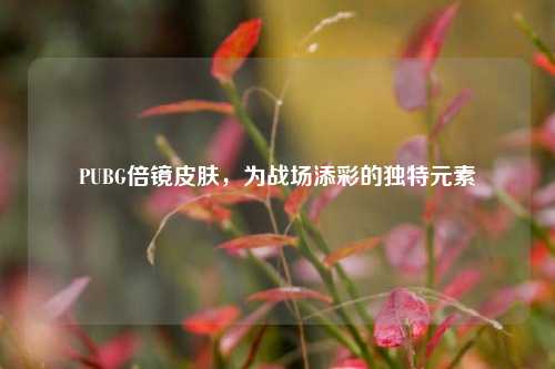 PUBG倍镜皮肤,为战场添彩的独特元素