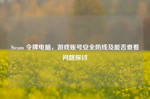Steam 令牌电脑，游戏账号安全防线及能否查看问题探讨