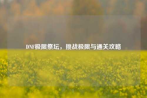 DNF极限祭坛,挑战极限与通关攻略