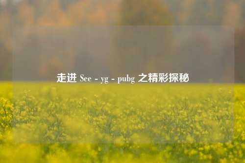 走进 See - yg - pubg 之精彩探秘