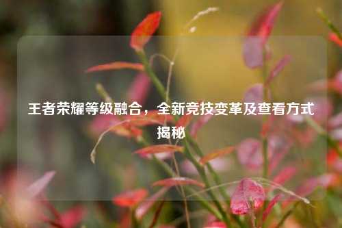 王者荣耀等级融合,全新竞技变革及查看方式揭秘