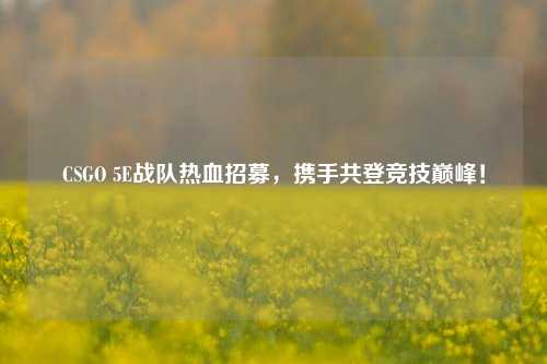 CSGO 5E战队热血招募,携手共登竞技巅峰!