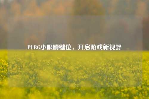 PUBG小眼睛键位，开启游戏新视野