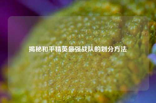 揭秘和平精英最强战队的划分方法