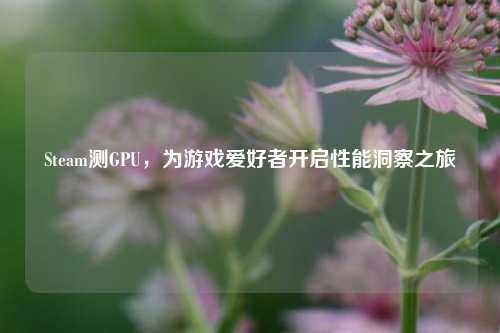 Steam测GPU,为游戏爱好者开启性能洞察之旅