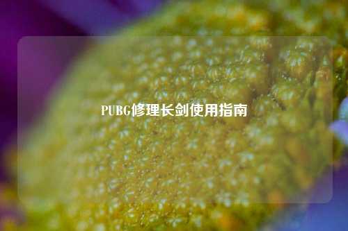 PUBG修理长剑使用指南