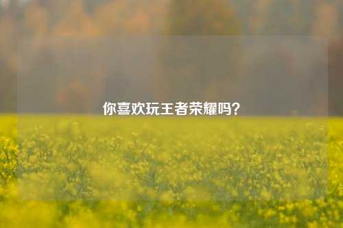 你喜欢玩王者荣耀吗?