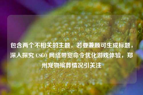 包含两个不相关的主题,若要兼顾可生成标题,深入探究 CSGO 网络带宽命令优化游戏体验,郑州宠物殡葬情况引关注