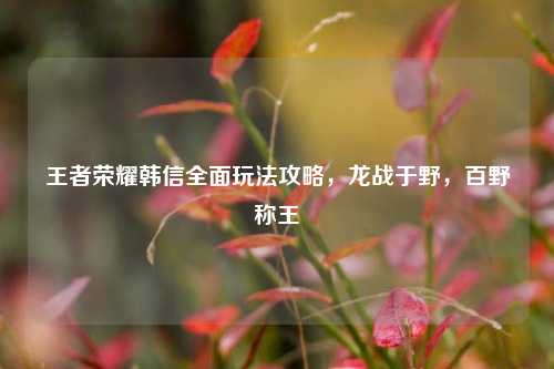 王者荣耀韩信全面玩法攻略,龙战于野,百野称王