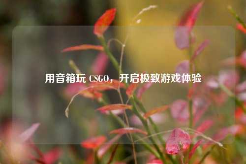 用音箱玩 CSGO，开启极致游戏体验
