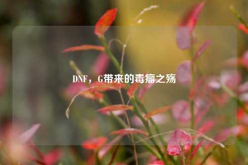 DNF，G带来的毒瘤之殇