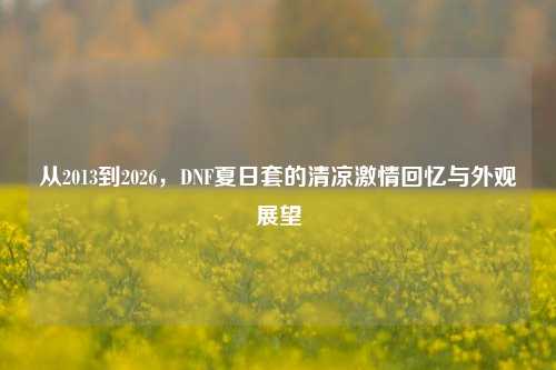 从2013到2026,DNF夏日套的清凉激情回忆与外观展望