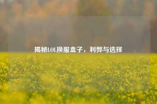 揭秘LOL换服盒子,利弊与选择