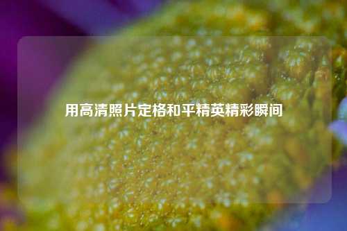 用高清照片定格和平精英精彩瞬间