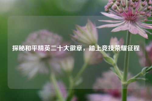 探秘和平精英二十大徽章,踏上竞技荣耀征程