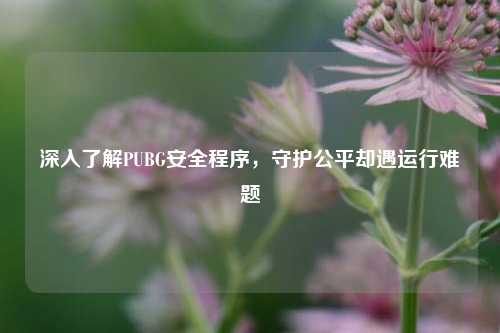 深入了解PUBG安全程序,守护公平却遇运行难题