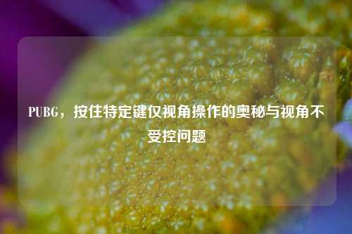 PUBG,按住特定键仅视角操作的奥秘与视角不受控问题