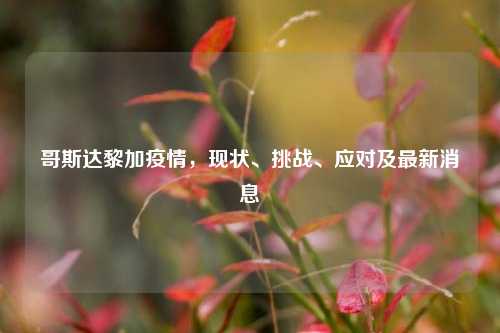 哥斯达黎加疫情，现状、挑战、应对及最新消息