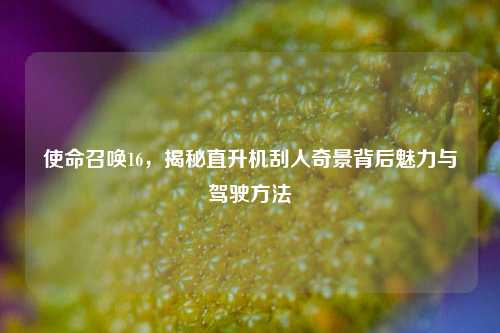 使命召唤16,揭秘直升机刮人奇景背后魅力与驾驶方法