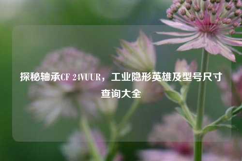 探秘轴承CF 24VUUR,工业隐形英雄及型号尺寸查询大全