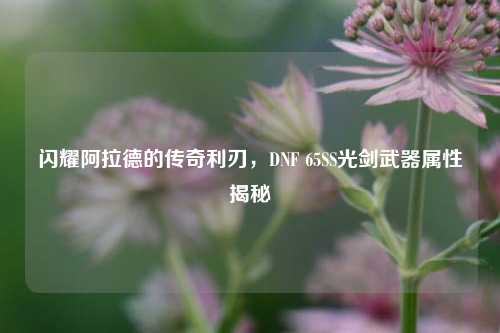 闪耀阿拉德的传奇利刃，DNF 65SS光剑武器属性揭秘