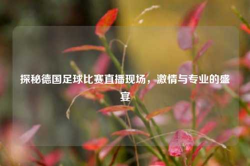 探秘德国足球比赛直播现场,激情与专业的盛宴
