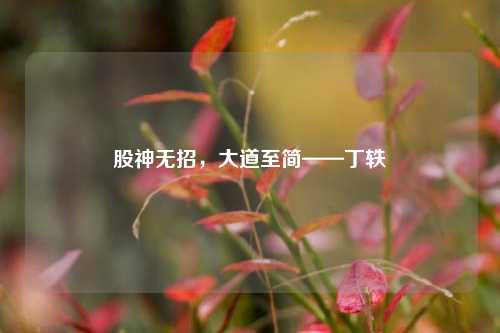 股神无招,大道至简——丁轶