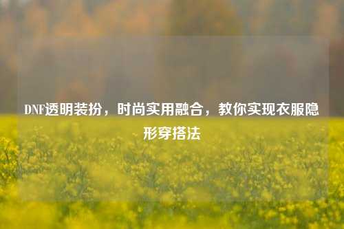 DNF透明装扮，时尚实用融合，教你实现衣服隐形穿搭法
