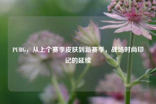 PUBG，从上个赛季皮肤到新赛季，战场时尚印记的延续