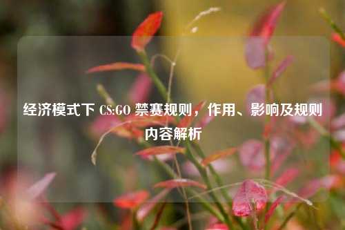 经济模式下 CS:GO 禁赛规则,作用、影响及规则内容解析