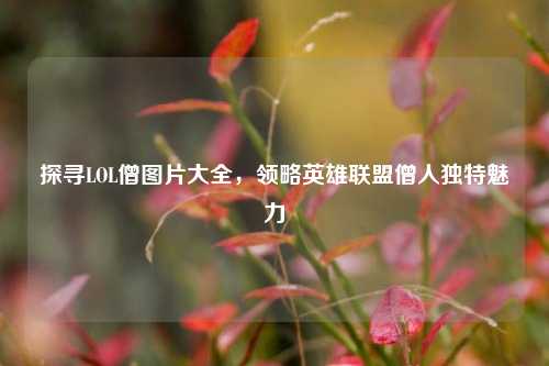探寻LOL僧图片大全，领略英雄联盟僧人独特魅力