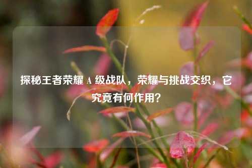 探秘王者荣耀 A 级战队,荣耀与挑战交织,它究竟有何作用?