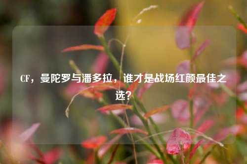 CF,曼陀罗与潘多拉,谁才是战场红颜最佳之选?