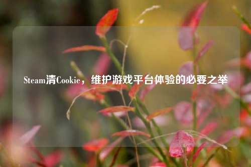 Steam清Cookie,维护游戏平台体验的必要之举