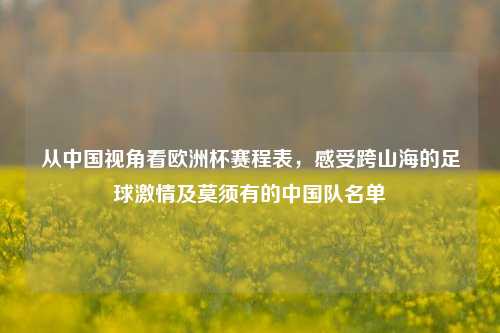 从中国视角看欧洲杯赛程表，感受跨山海的足球激情及莫须有的中国队名单