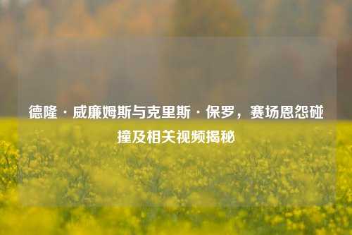 德隆·威廉姆斯与克里斯·保罗，赛场恩怨碰撞及相关视频揭秘
