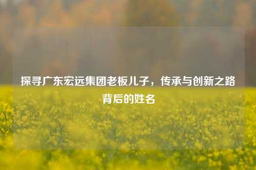 探寻广东宏远集团老板儿子，传承与创新之路背后的姓名