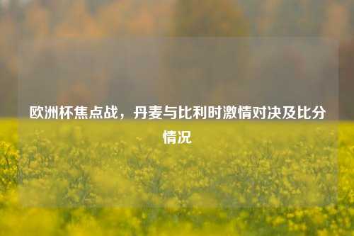 欧洲杯焦点战,丹麦与比利时激情对决及比分情况