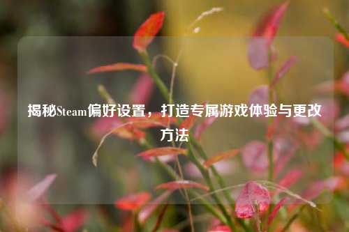 揭秘Steam偏好设置,打造专属游戏体验与更改方法