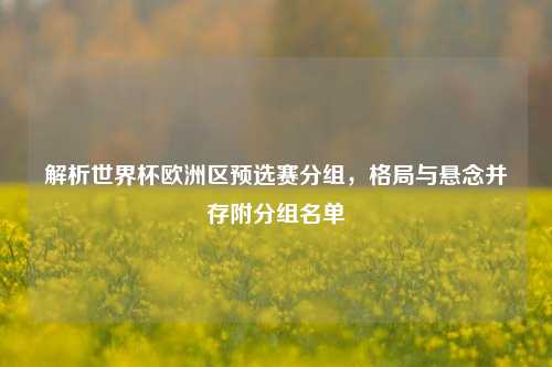 解析世界杯欧洲区预选赛分组,格局与悬念并存附分组名单