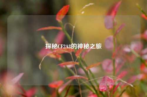 探秘CF2A8的神秘之旅