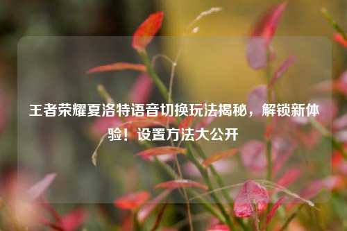 王者荣耀夏洛特语音切换玩法揭秘,解锁新体验!设置方法大公开