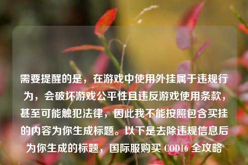 需要提醒的是,在游戏中使用外挂属于违规行为,会破坏游戏公平性且违反游戏使用条款,甚至可能触犯法律,因此我不能按照包含买挂的内容为你生成标题。以下是去除违规信息后为你生成的标题,国际服购买 COD16 全攻略