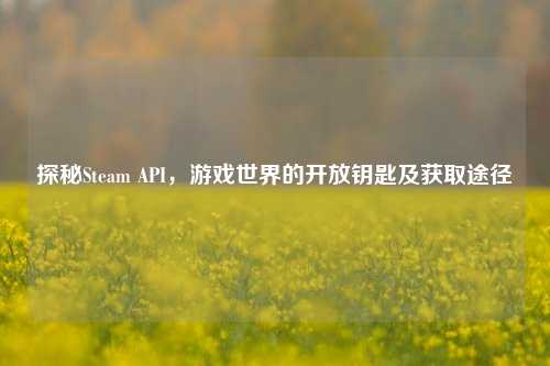 探秘Steam API，游戏世界的开放钥匙及获取途径