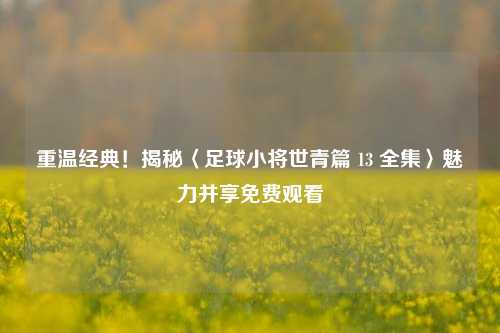 重温经典!揭秘〈足球小将世青篇 13 全集〉魅力并享免费观看